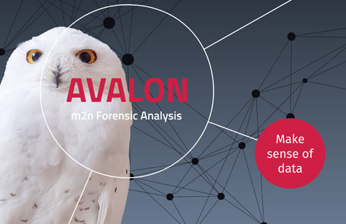 m2n consulting development